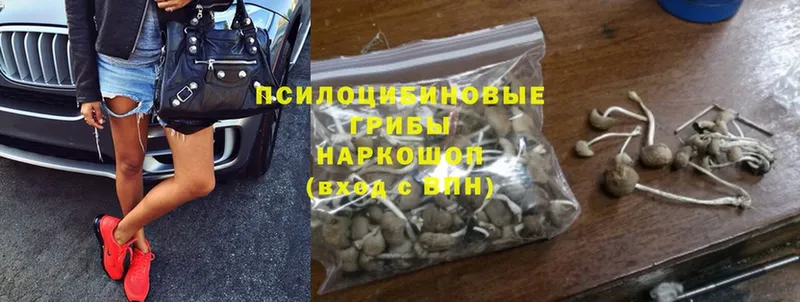 mega ссылки  где можно купить   Великие Луки  Псилоцибиновые грибы MAGIC MUSHROOMS 